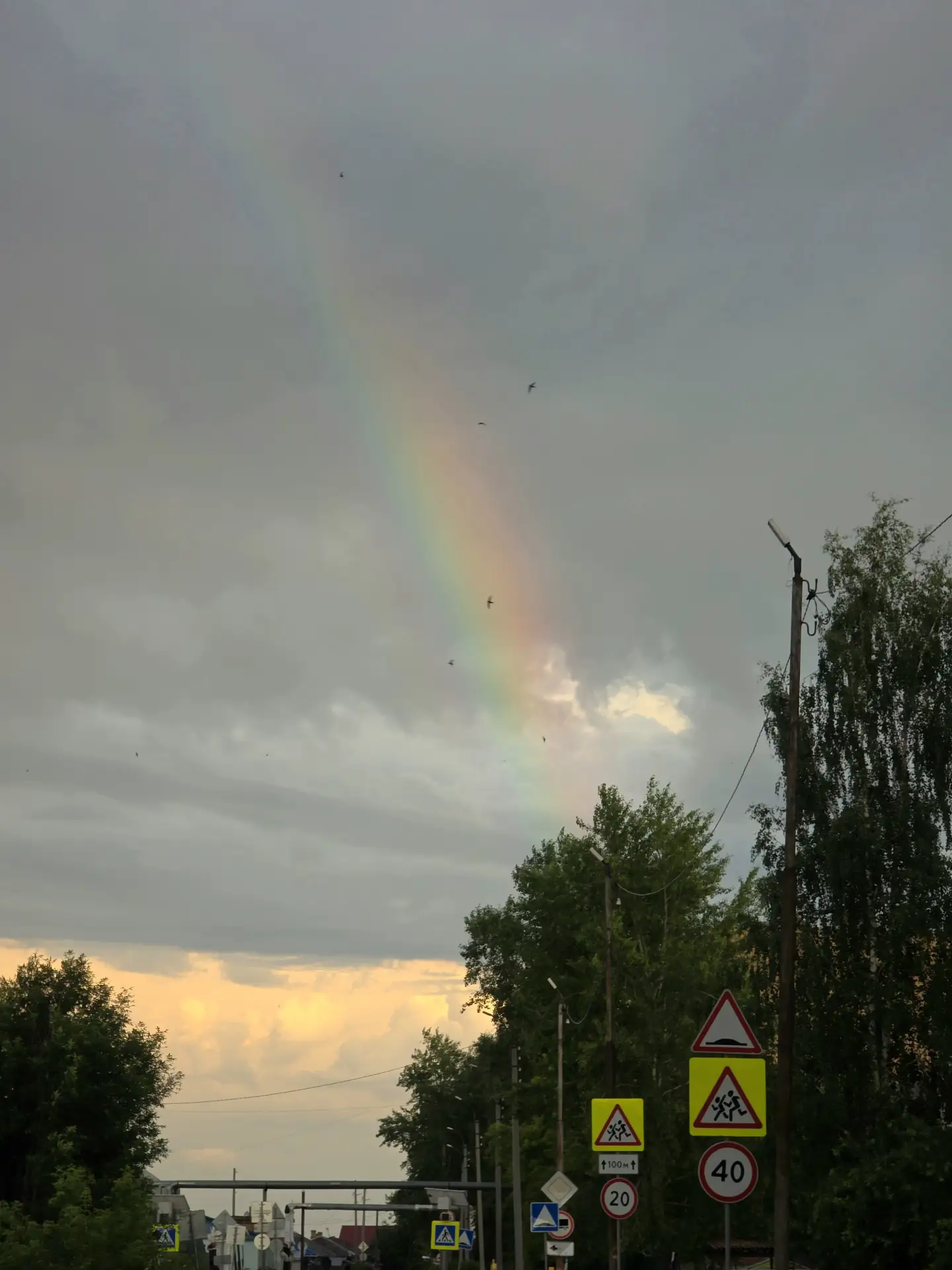 После дождя 💙