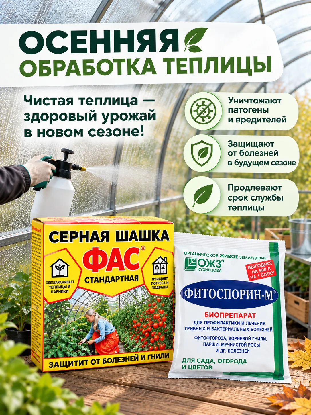 🍂 Осенняя обработка теплицы