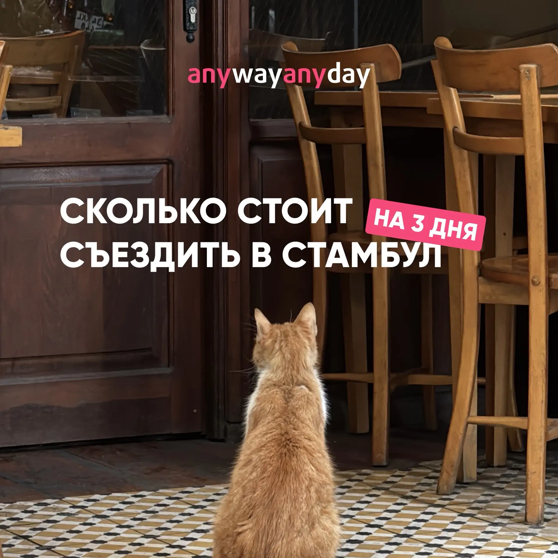 🇹🇷 Сколько стоит съездить в Стамбул на 3 дня