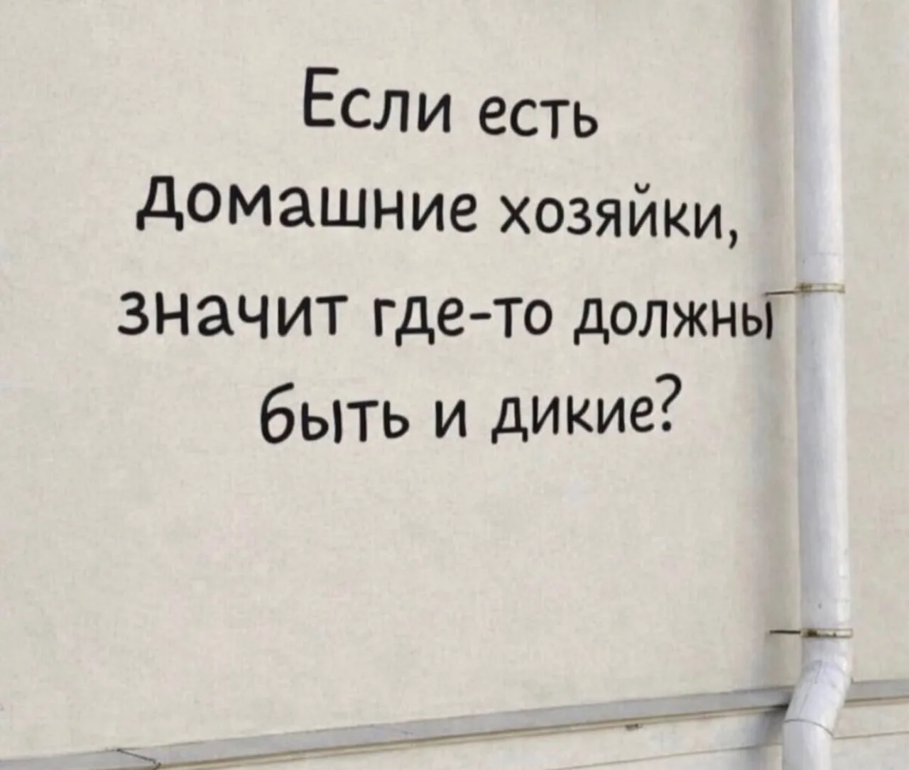 И вот принесла еще немножко свежих мемов. Буду молиться, чтоб тут начали адекватно работать коммента
