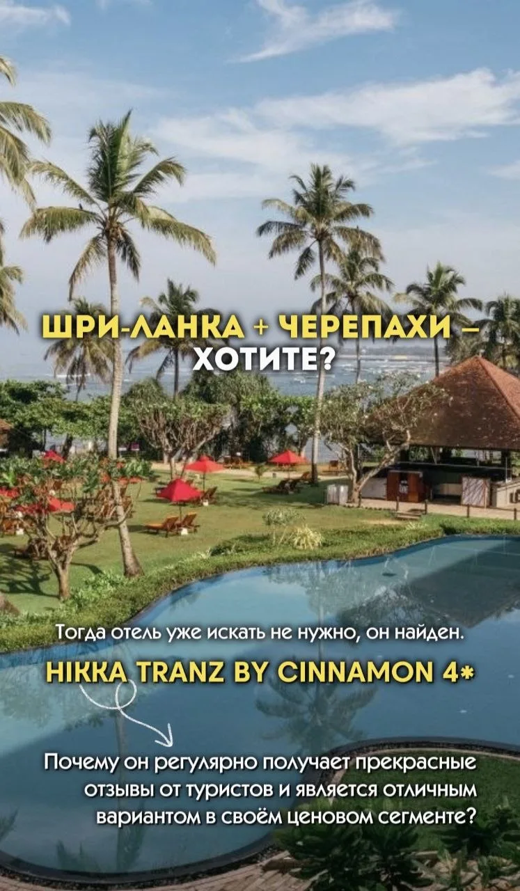 🇱🇰ШРИ-ЛАНКА + ЧЕРЕПАХИ - ХОТИТЕ?