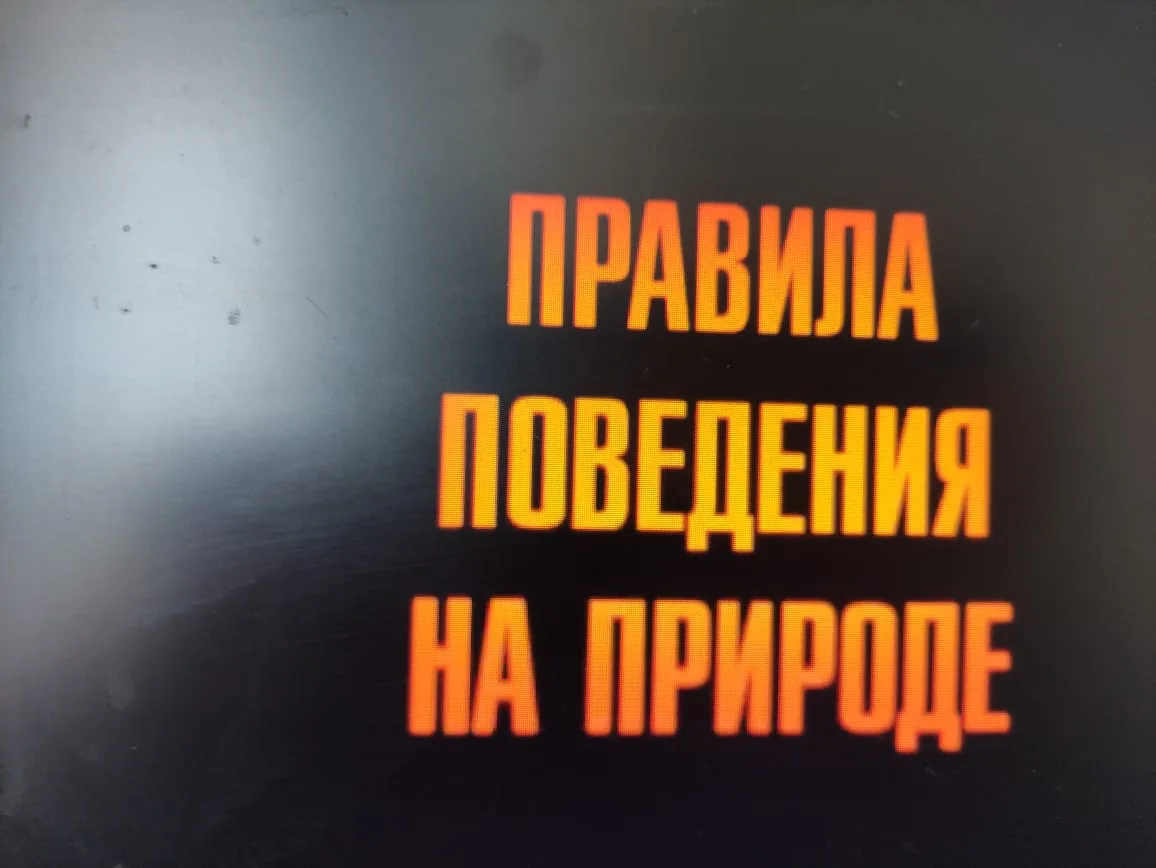 В МБОУ "СОШ 1 с. Алхазурово  им. А. Сулейманова"