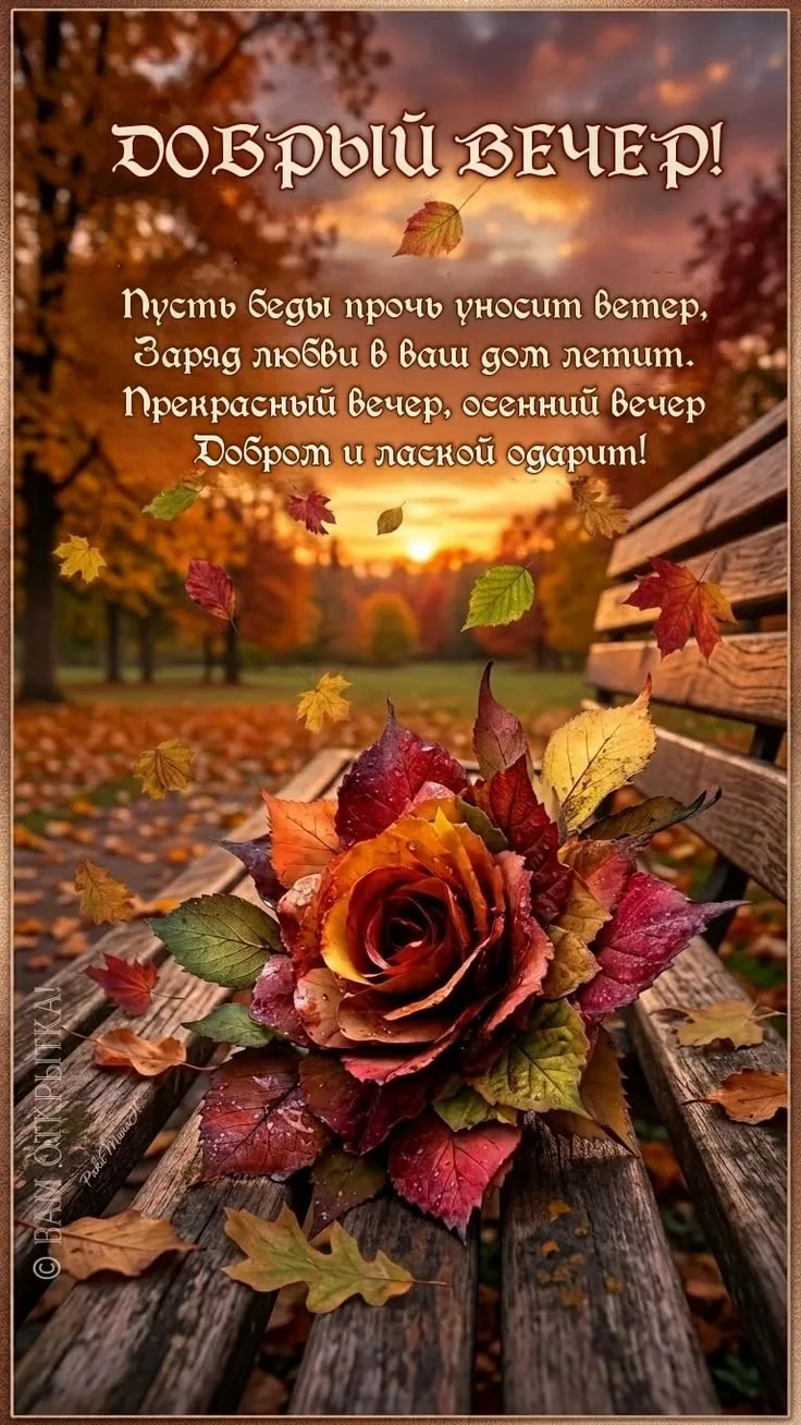 🥰 Оставляйте реакции, если понравилась открытка и делитесь с близкими ❤