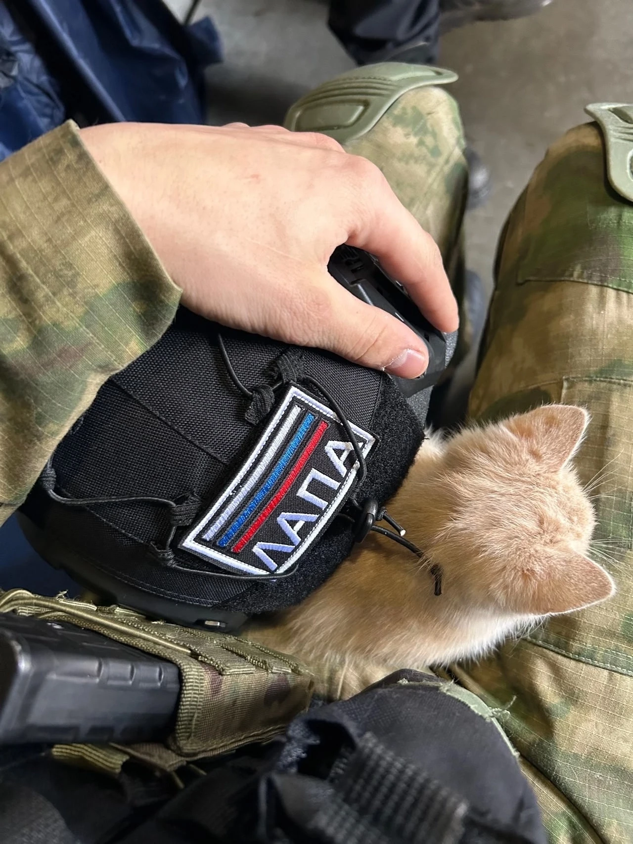 Доброе утро, друзья! 🫡Для нас- непростое.