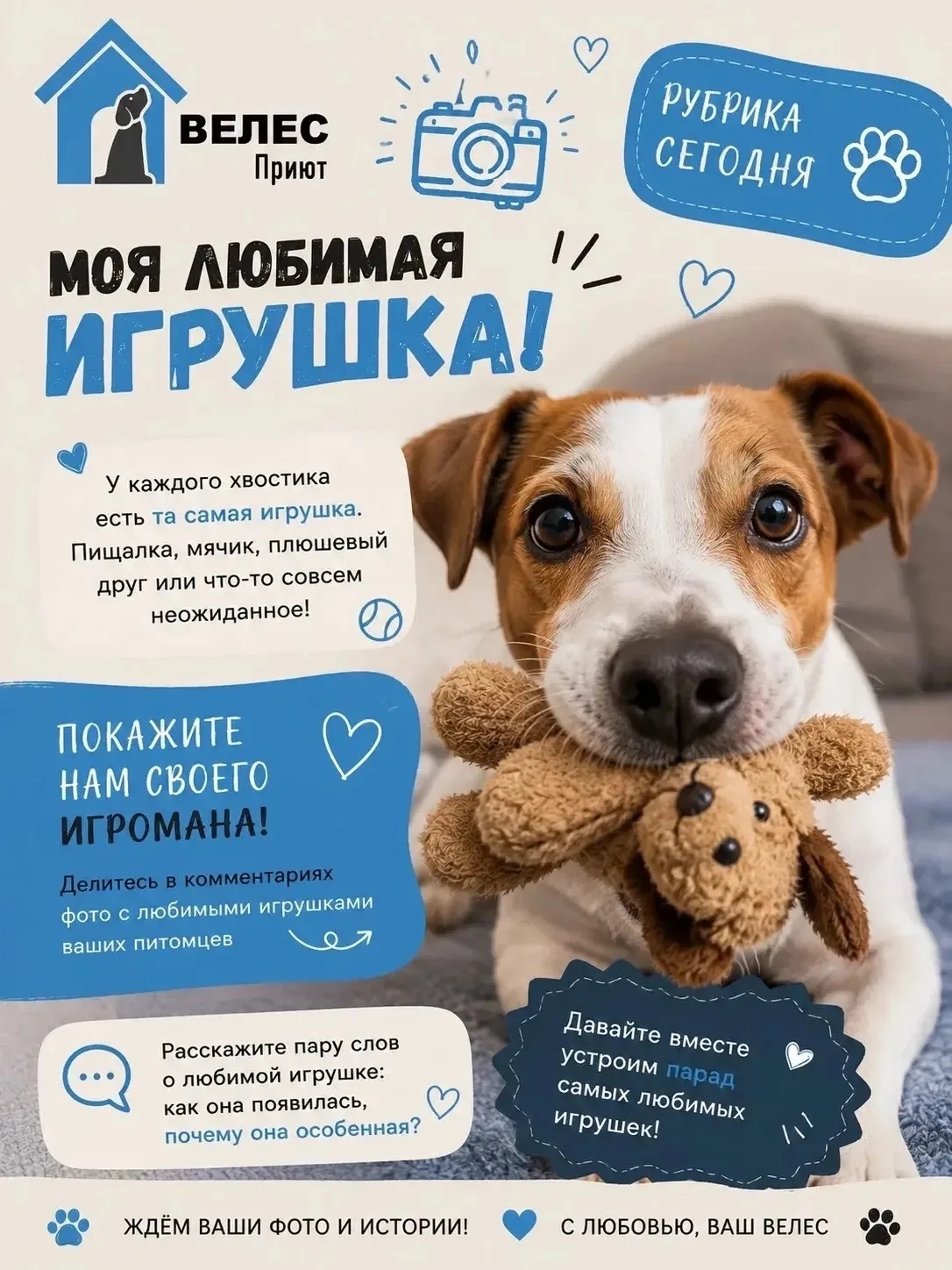 Иногда самые любимые вещи выглядят совсем не новыми. Они уже потрёпаны, погрызены, потеряли форму…..