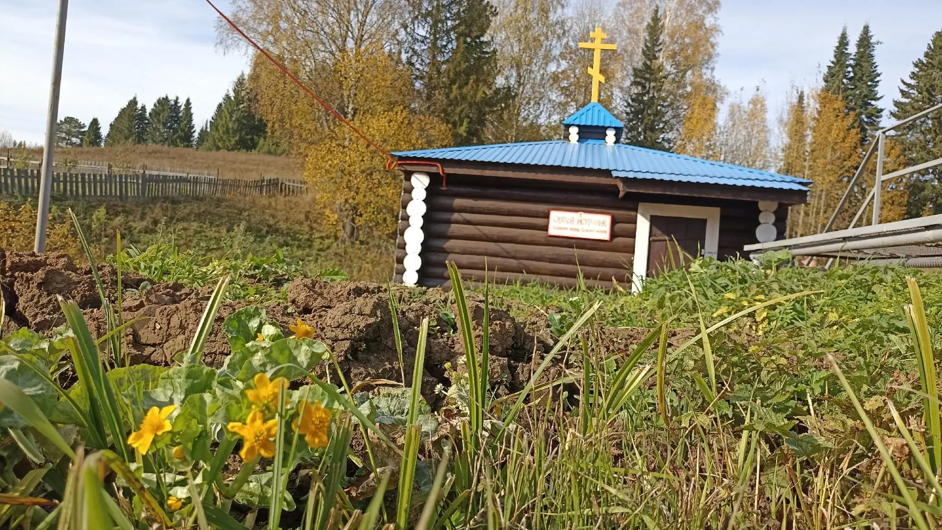 Доброе утро!