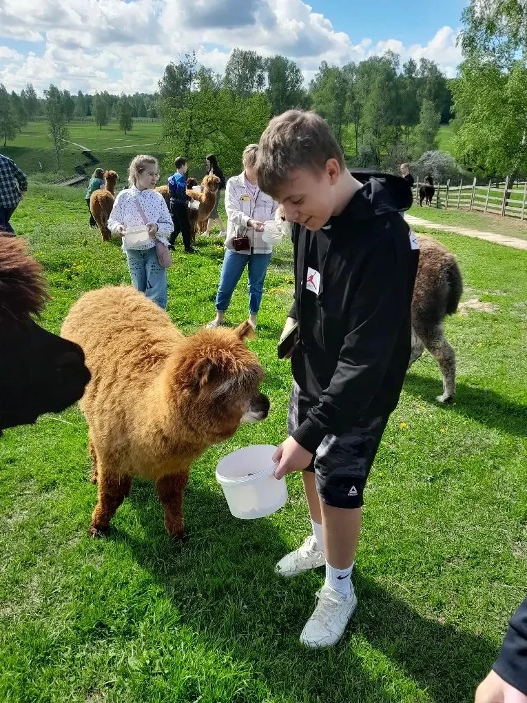 🦙🌊 6В провел отличные выходные!  Сначала ребята отправились на ферму альпак: знакомство с милейшими 