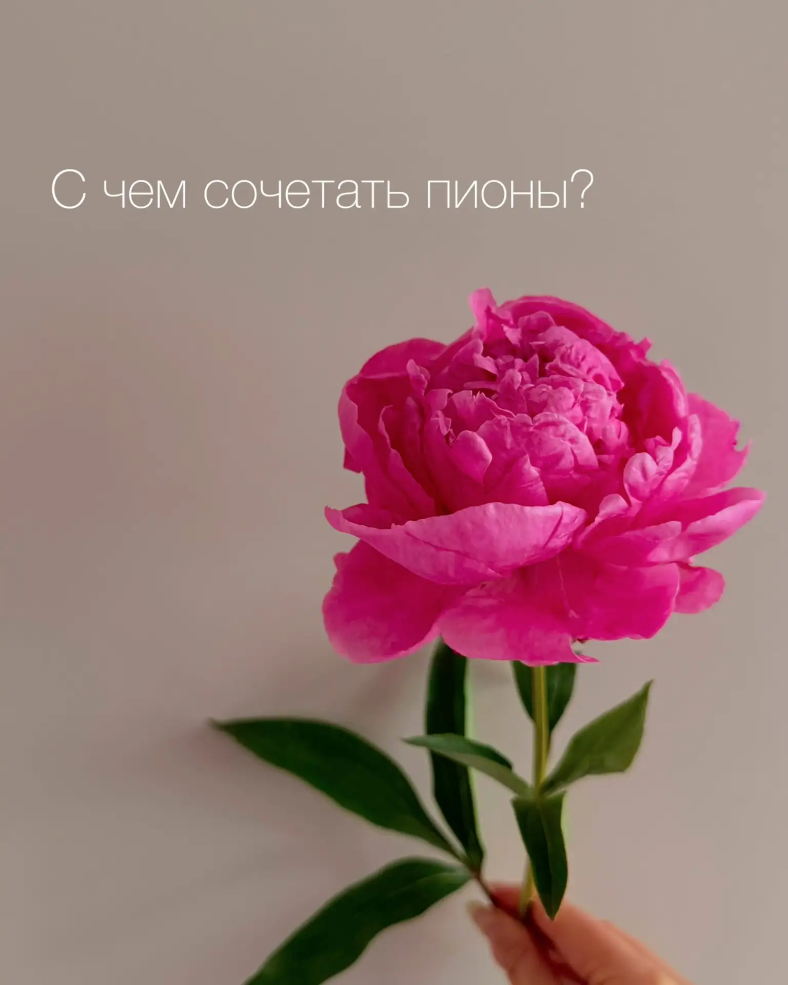 Подобрали для вас яркие сочетания с пионами!
