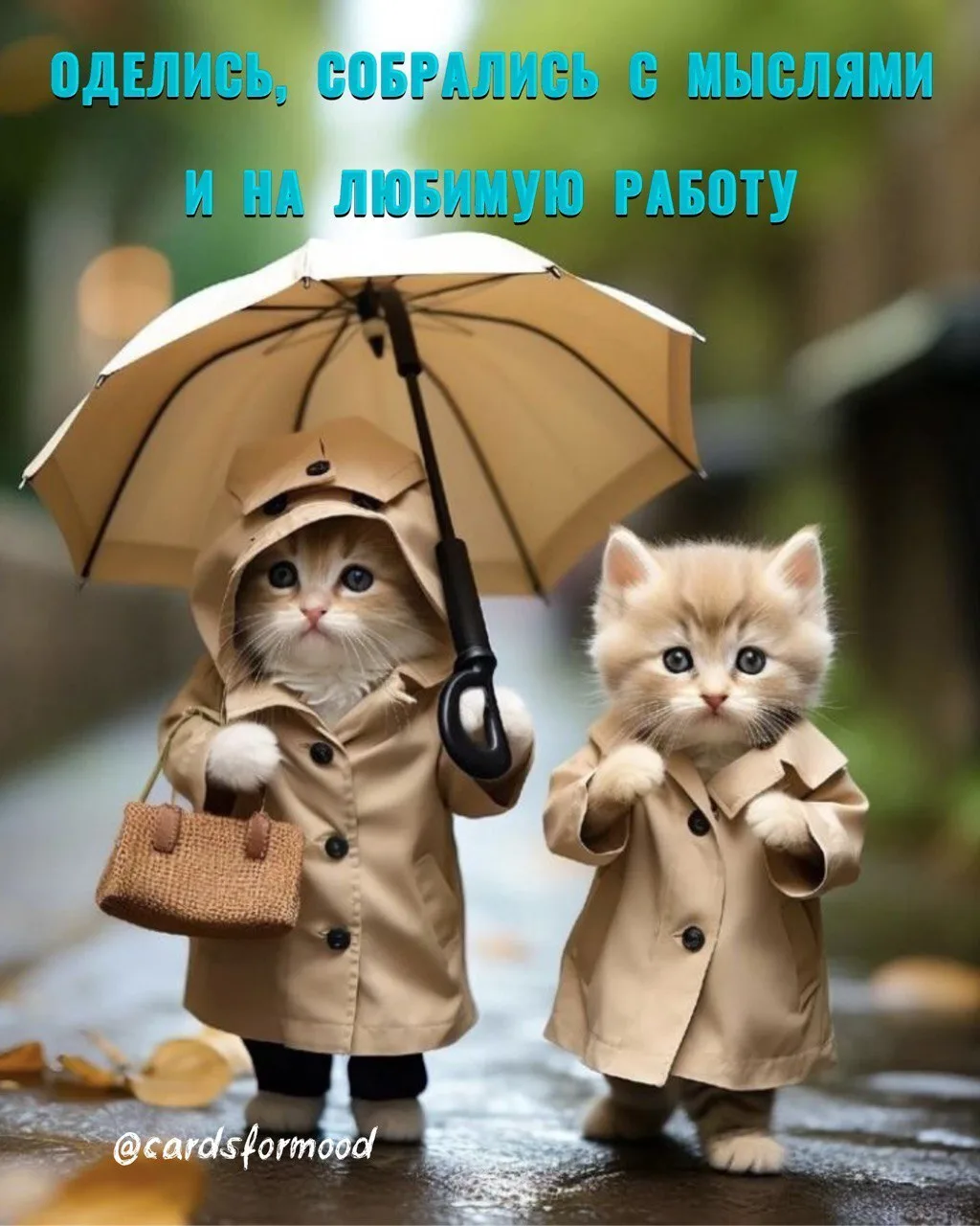 Хорошего дня!