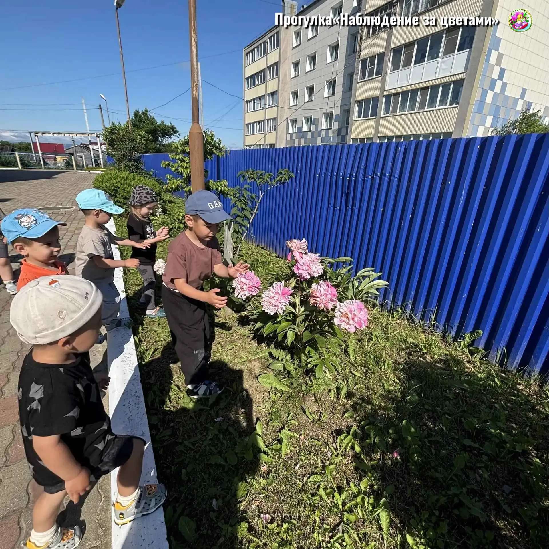 Прогулка «Наблюдение за цветами»🌸

 Сегодня в группе «Солнечные зайчики» прошла увлекательная прогу