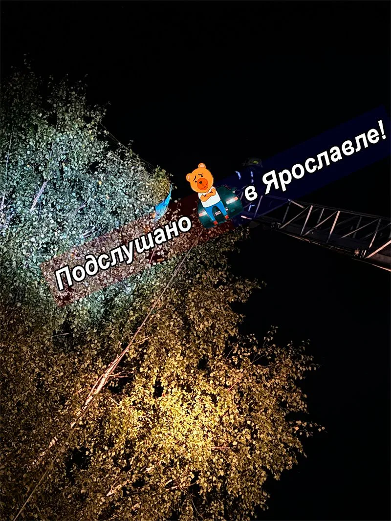 Ура! Попугай из ярославского зоопарка спасен!