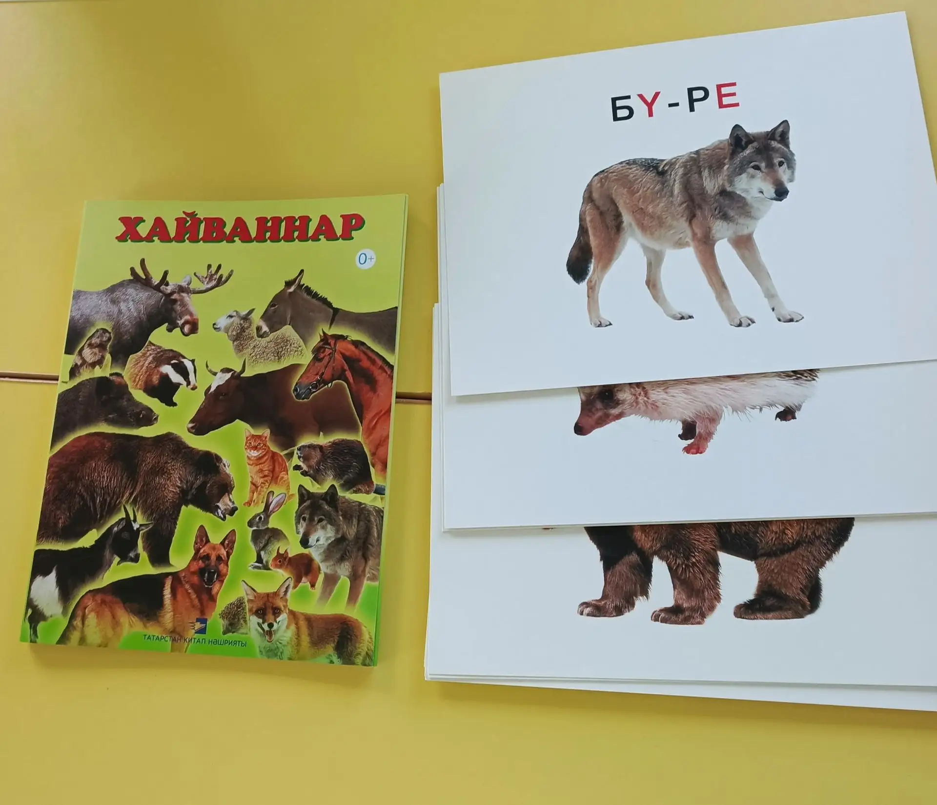 "Йорт һәм кыргый хайваннар". Балаларның йорт һәм кыргый җәнлекләр турында белемнәрен ны...