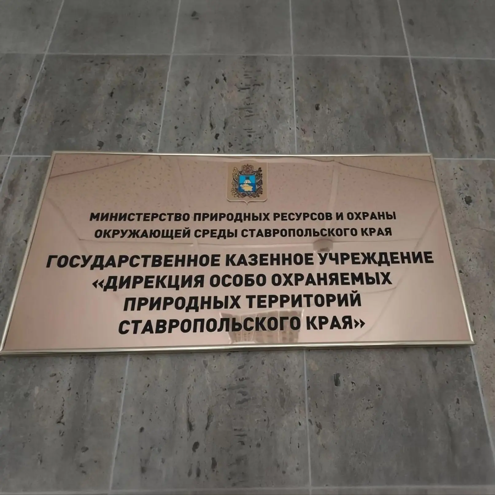 🌞 Сегодня наш «Лучик» светил особенно ярко! 2 отряд под руководством Ольги Николаевны Гривко отправ