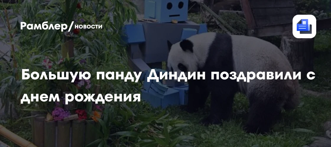 🎵 Диндин отмечает день рождения в Московском зоопарке

В Московском зоопарке сегодня празднуют день