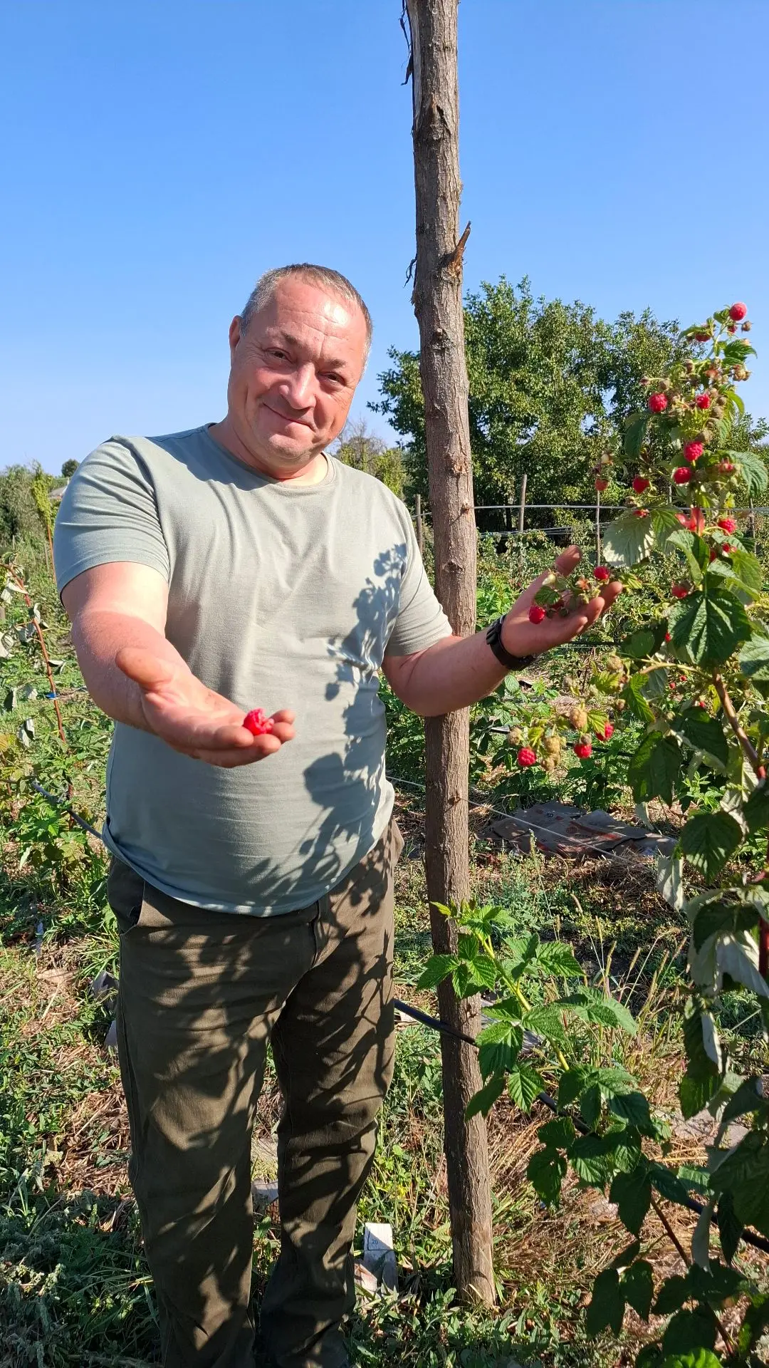 Демобилизованный Павел Байнов из станицы Ловлинской освоил ягодное хозяйство и связывае...