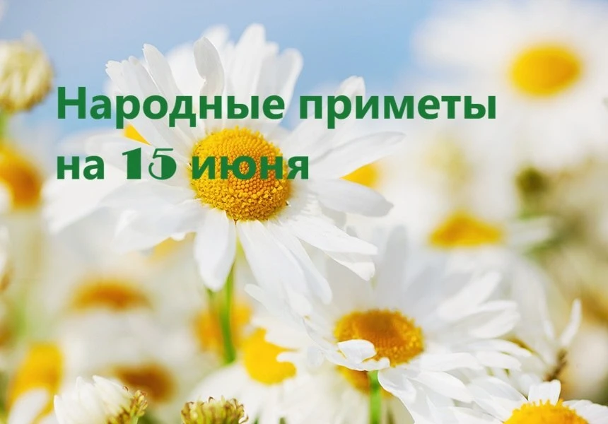 Вьюн Зеленый. В этот день, согласно преданиям, природа достигает пика своего развития, а почва обрет