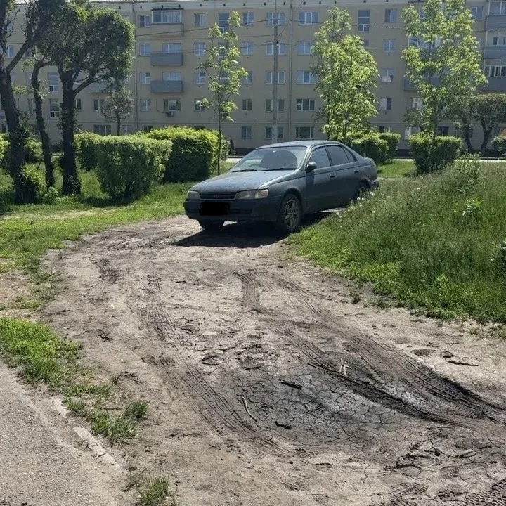 Газон - не парковка!

Посмотрите, во что превратились газоны на улице Академика Вавилова, 86! Жители