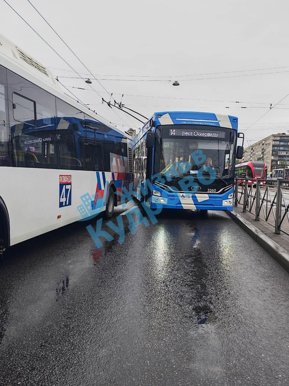 🚌 У метро «Дыбенко» на остановке в сторону Кудрово сломался автобус 596Б. Попытки сдвинуть его с мес