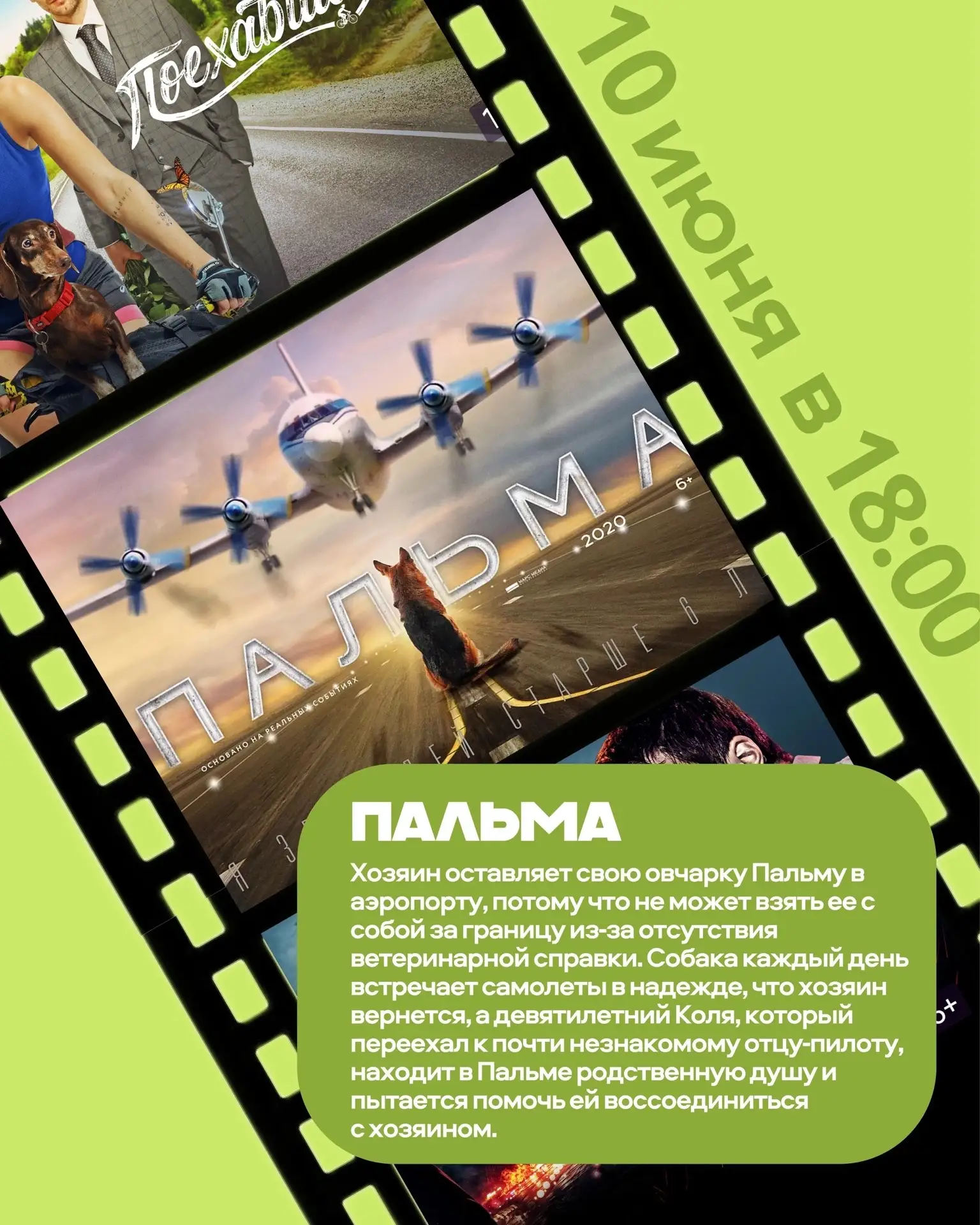 Он ждал 2 года. Мы ждём вас 1 вечер💚

Приглашаем вас на кинолекторий! «Пальма» – это не просто исто