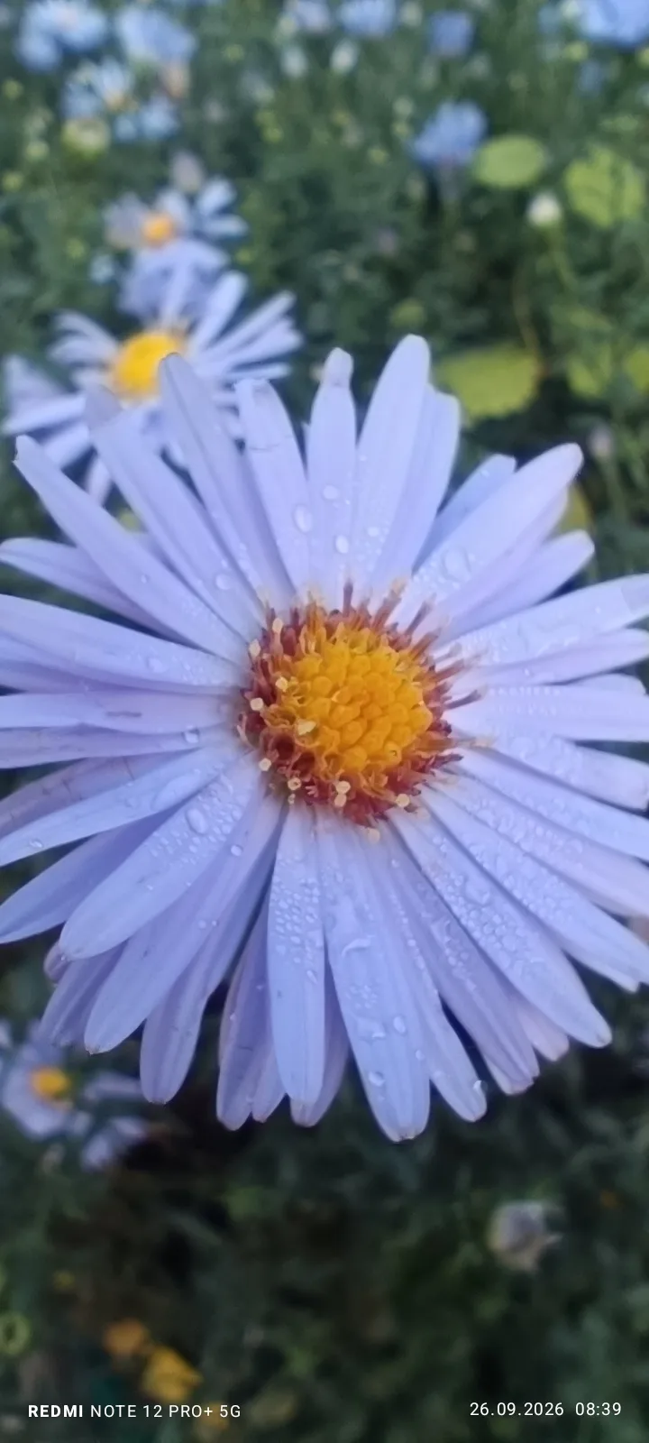 Фото