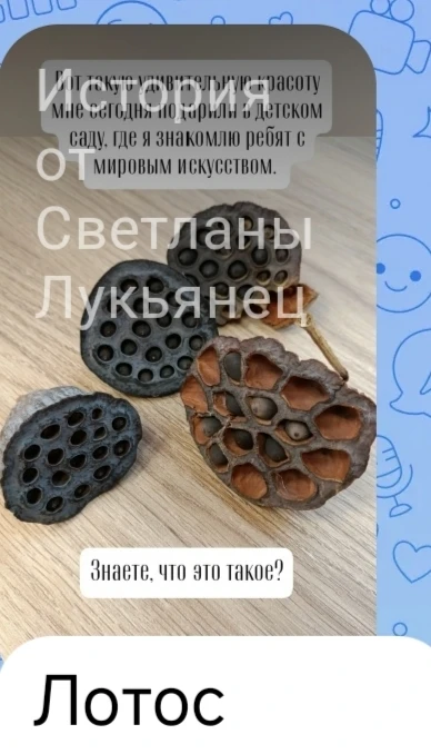 Вот такие ответы были о фотографии под последним постом.