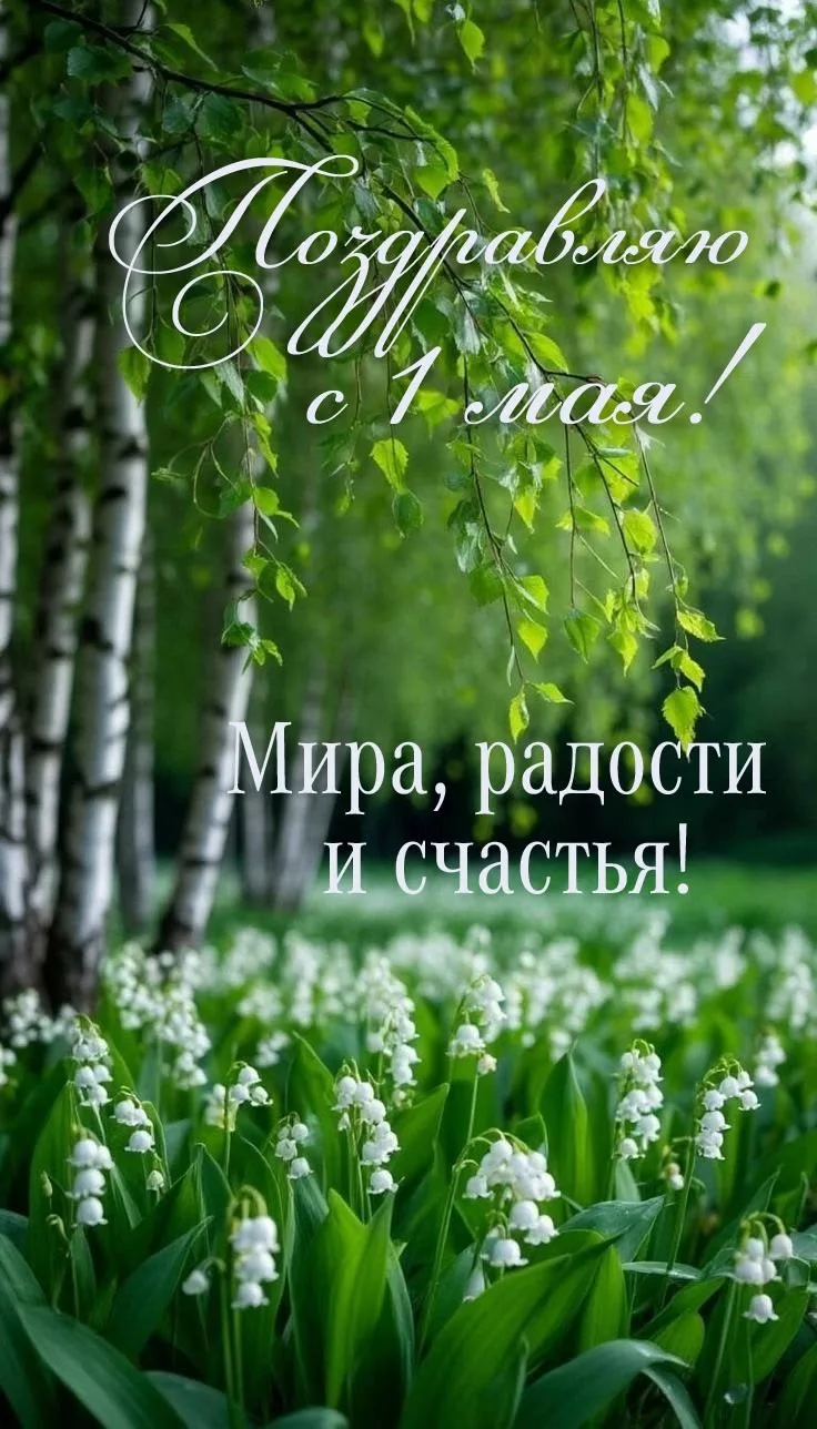 Дорогие клиенты, благодарю вас за юмор, хорошее настроение, поздравления и подарки! 🎈🙂🤗👍🔥 
Праз
