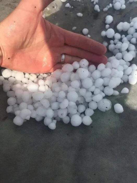 💧 В ближайшие 1–2 часа 15 июня, а также ночью 16 июня на территории Ульяновской области ожидаются к