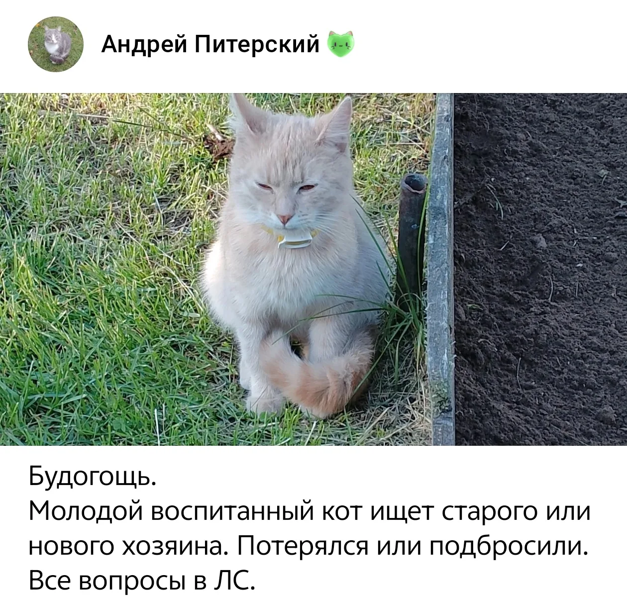 https://vk.ru/id186570339