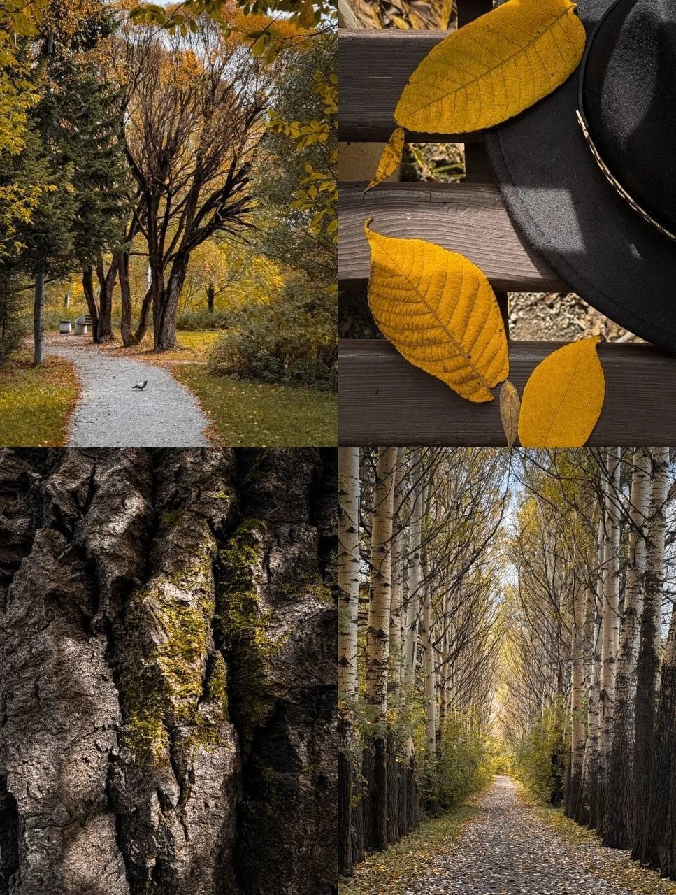 Доброе осеннее утро, сибиряки! 💛