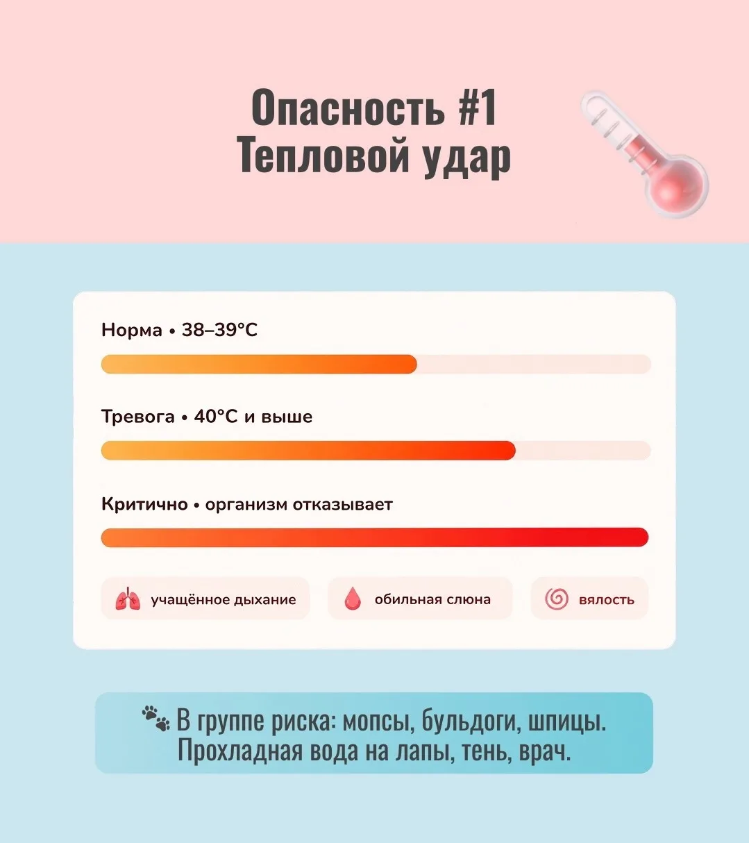 ☀️Лето — это не только радость для мокроносов.