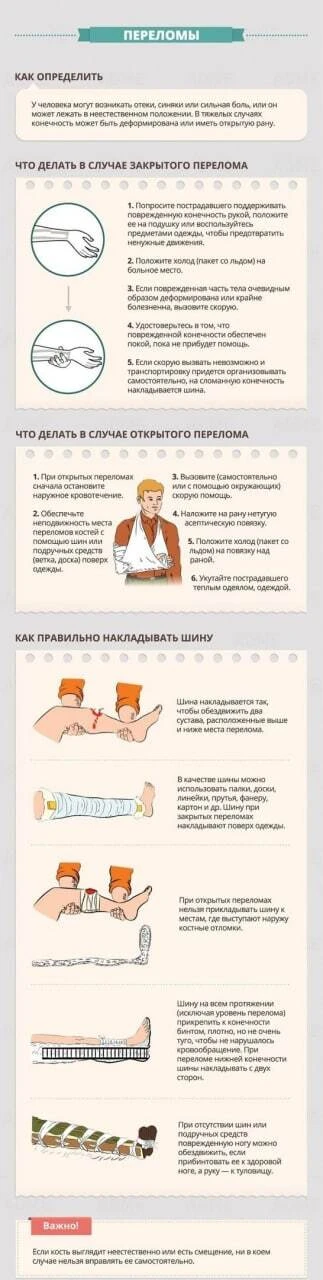 Краткая инфографика, в которой рассказывается, как действовать в том или ином экстренном случае.