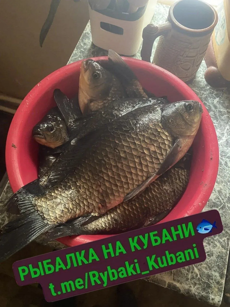 Рыбалка насосная Свободный
