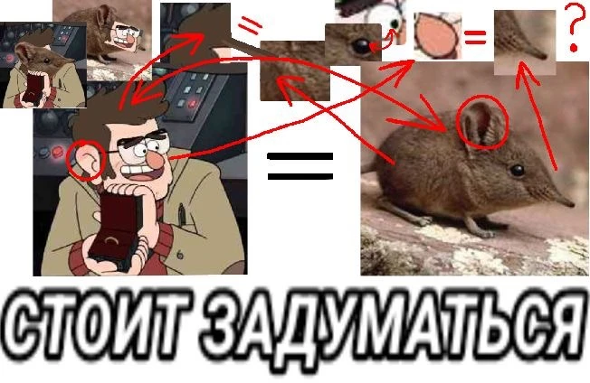 Все наши каналы
