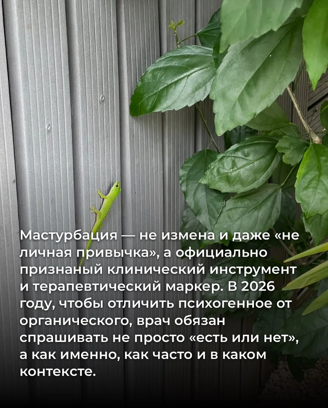 Я @doctor_sadovskaya врач с практикой от Катманду до Хайфы, дважды мать с помощью суррогатного матер