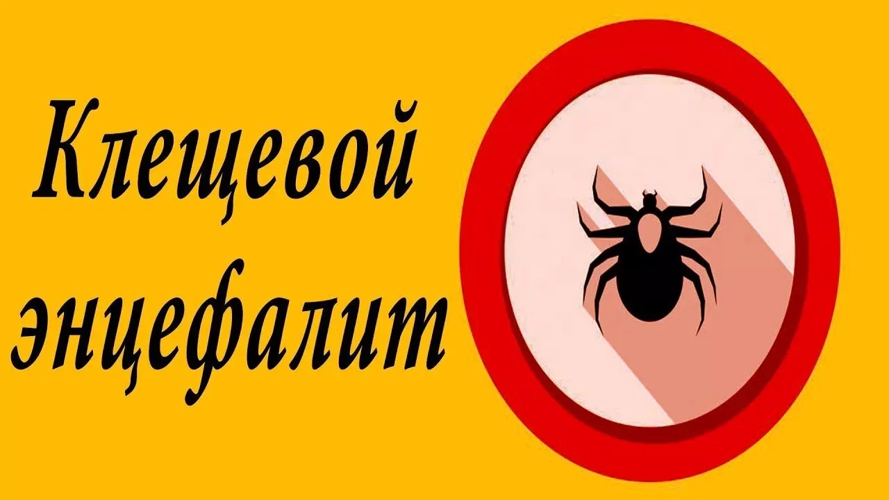❗О Всероссийской горячей линии по профилактике клещевого энцефалита и инфекций, передающихся клещами