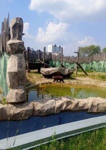 Экскурсия для школьников: Пермский зоопарк и мастер-класс.