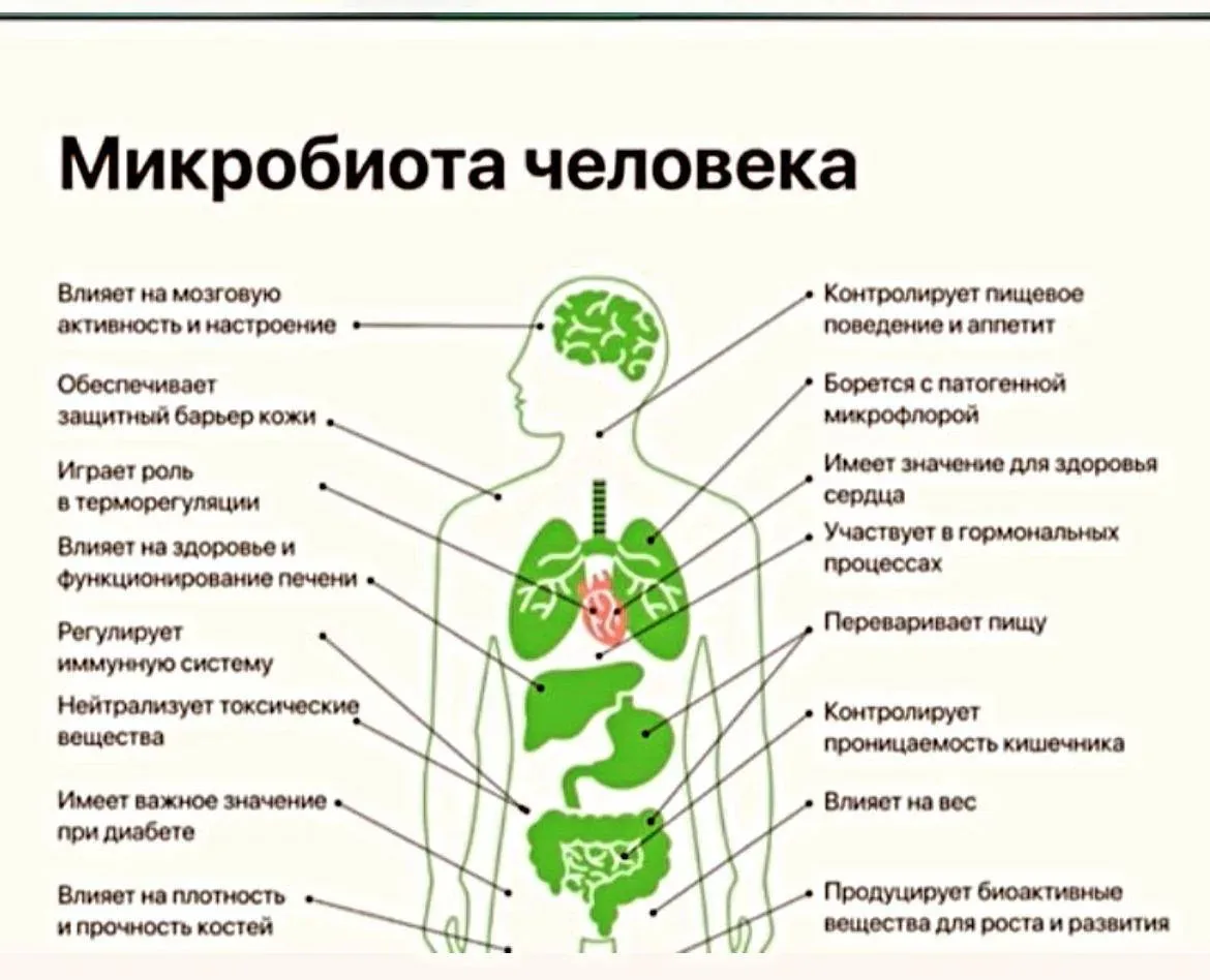 Много кто жалуется на плохое настроение? Но тут важно понимать, что как и стрессы могут...