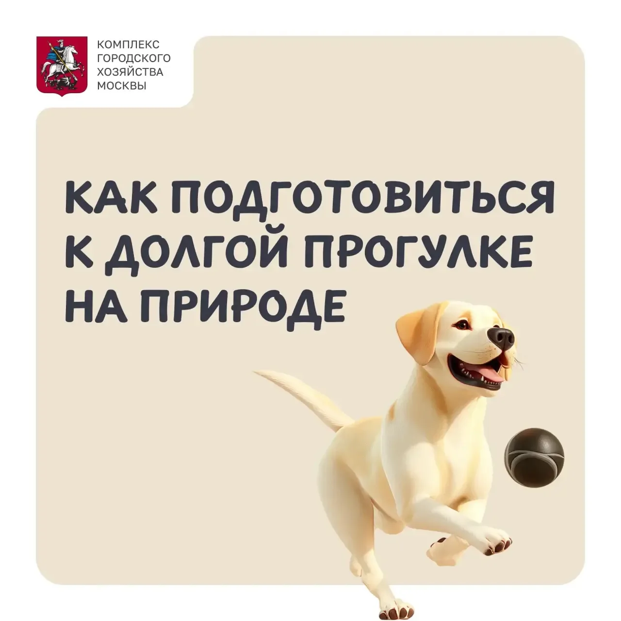 🌳 Как подготовиться к долгой прогулке на природе, рассказали в Комплексе городского хозяйства столи