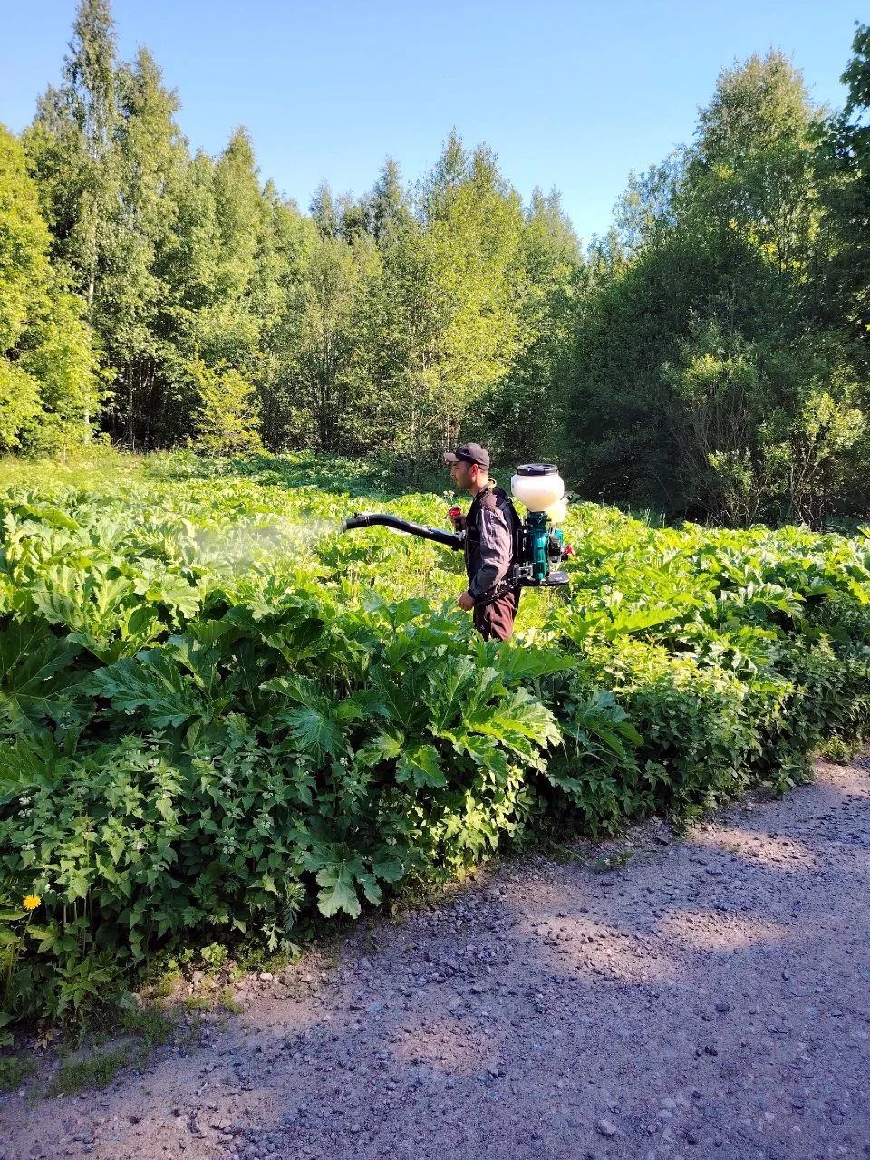 🧹Плановые работы по уборке территорий в поселке продолжаются в штатном режиме.