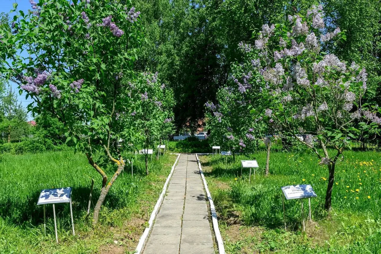 В колледже Подольска прошла акция «Сирень Победы» с участием ветерана Великой Отечественной войны  В