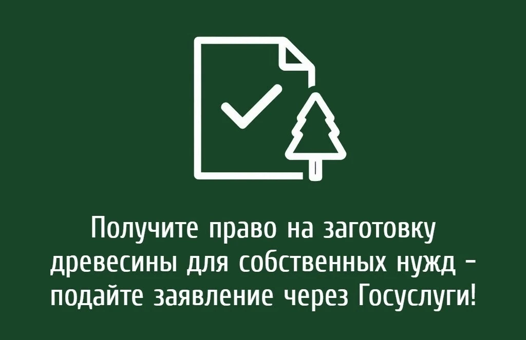 🌲 Получите право на заготовку древесины для собственных нужд — подайте заявление через...
