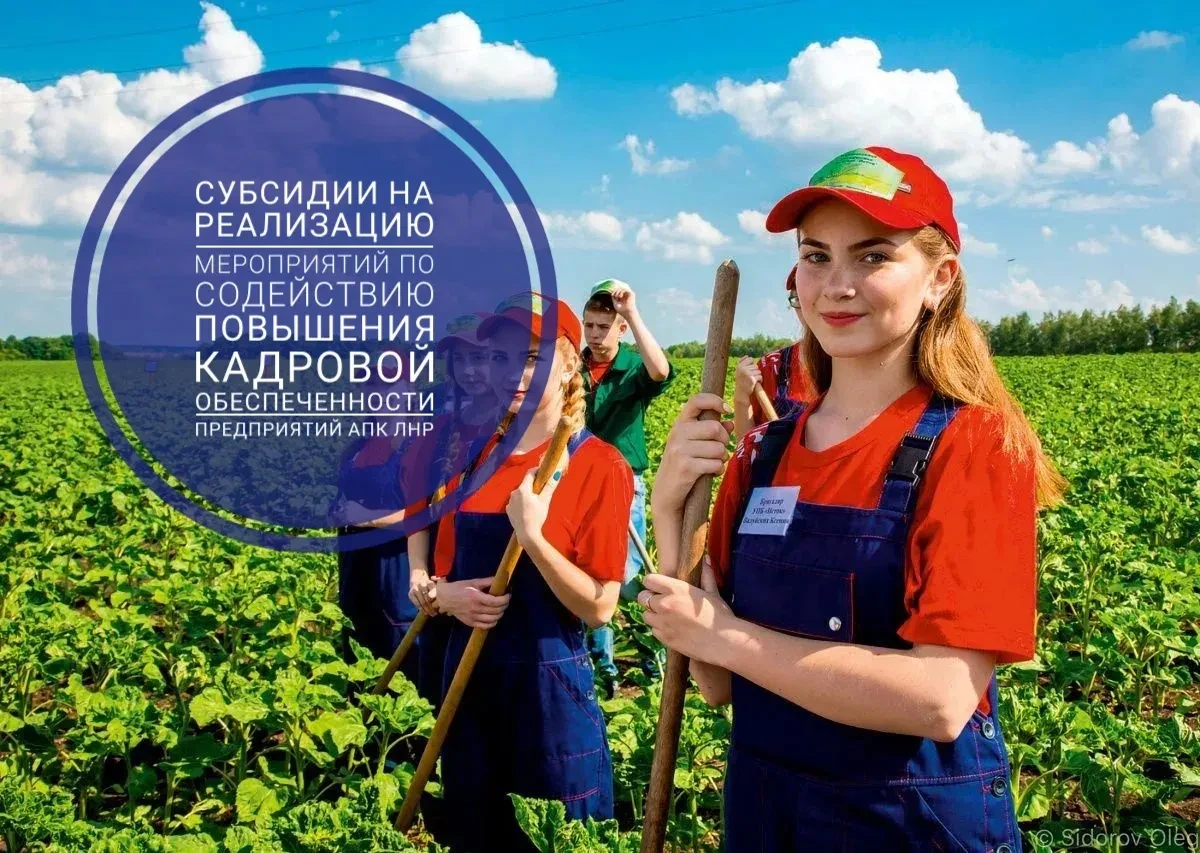 📢 Объявление об отборе получателей субсидии на реализацию мероприятий по содействию по...