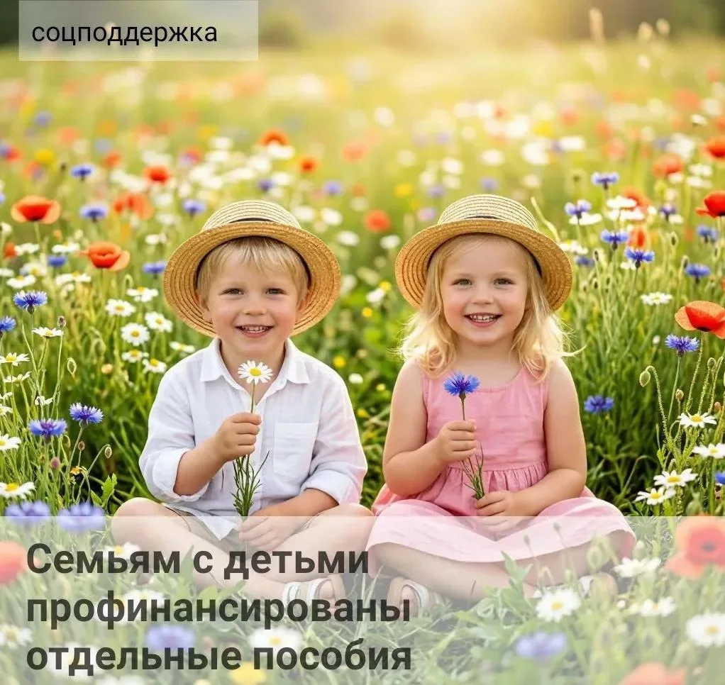 ‼️ 5 августа в муниципальные образования направлены средства для выплаты следующих соци...