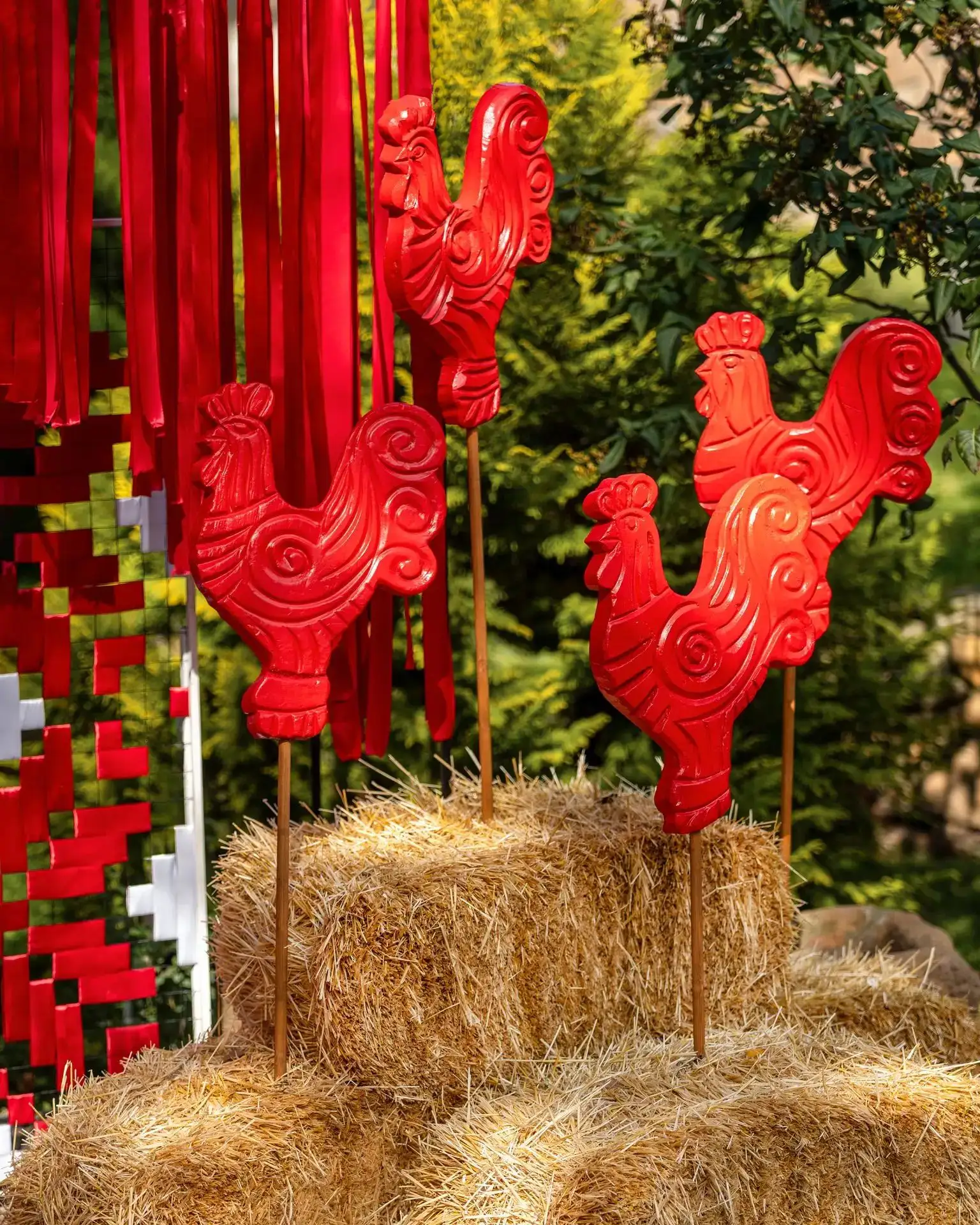 Фото