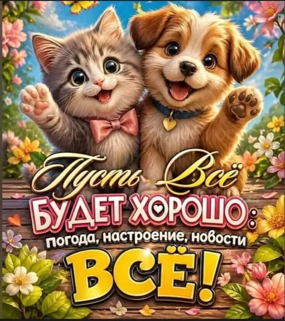 Открытки в МАХ