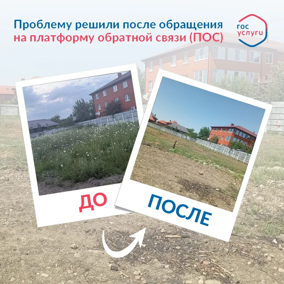 От жителей аула Новая Адыгея поступило обращение по поводу заросших неиспользуемых учас...