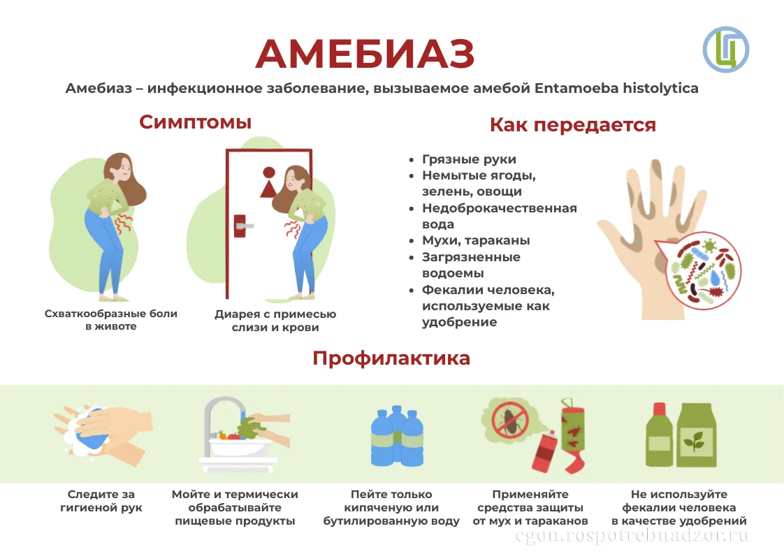 Амебиаз. Профилактика

Амебиаз— это паразитарное (протозойное) заболевание, вызываемое одноклеточным