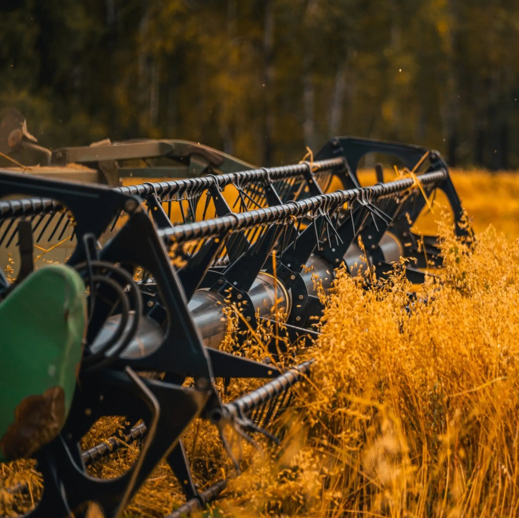 В Тюменской области началась уборка урожая. 🌾 Комбайны интенсивно срезают колосья и со...
