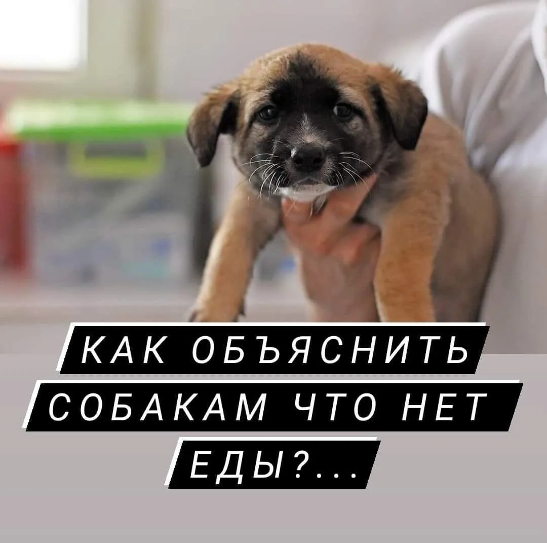 НЕОБХОДИМО ОПЛАТИТЬ МЯСНОЕ..

Сумма этой поставки 42 тр, а еще не оплачена крупа..

Мы очень просим 