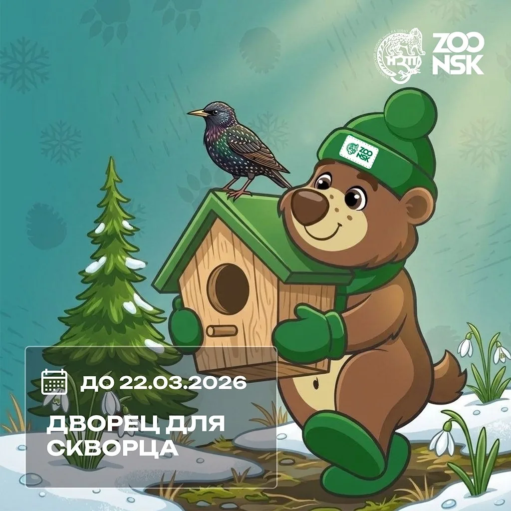 🏡 КОНКУРС «ДВОРЕЦ ДЛЯ СКВОРЦА»